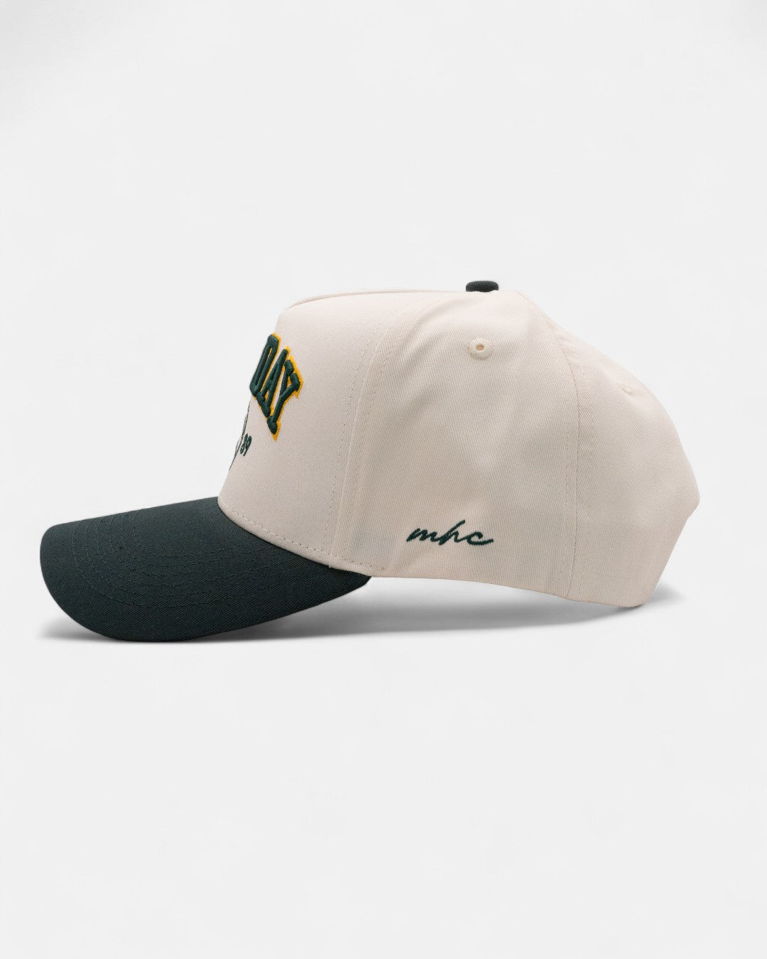 The Off Season Snapback | Forest