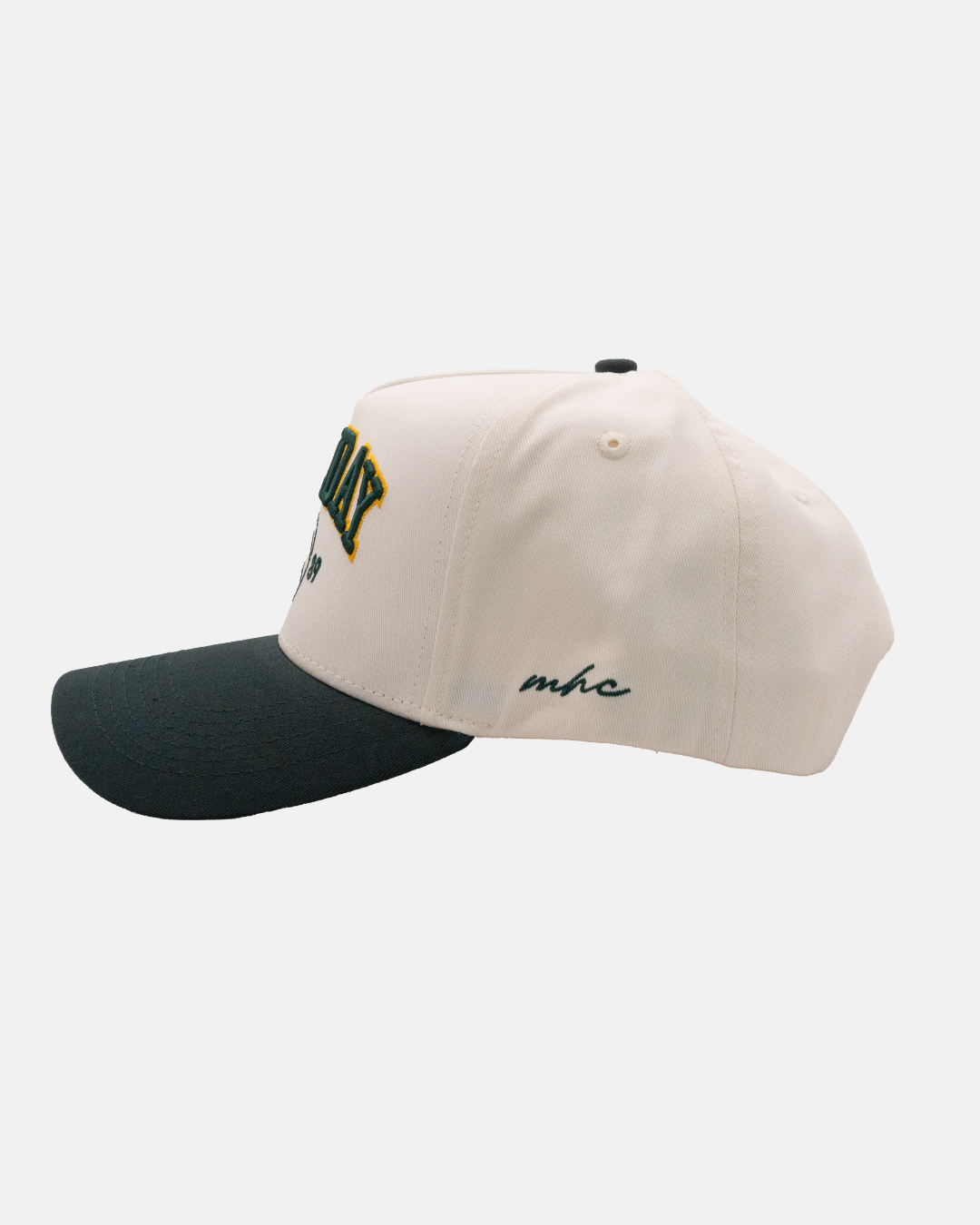 The Off Season Snapback | Forest